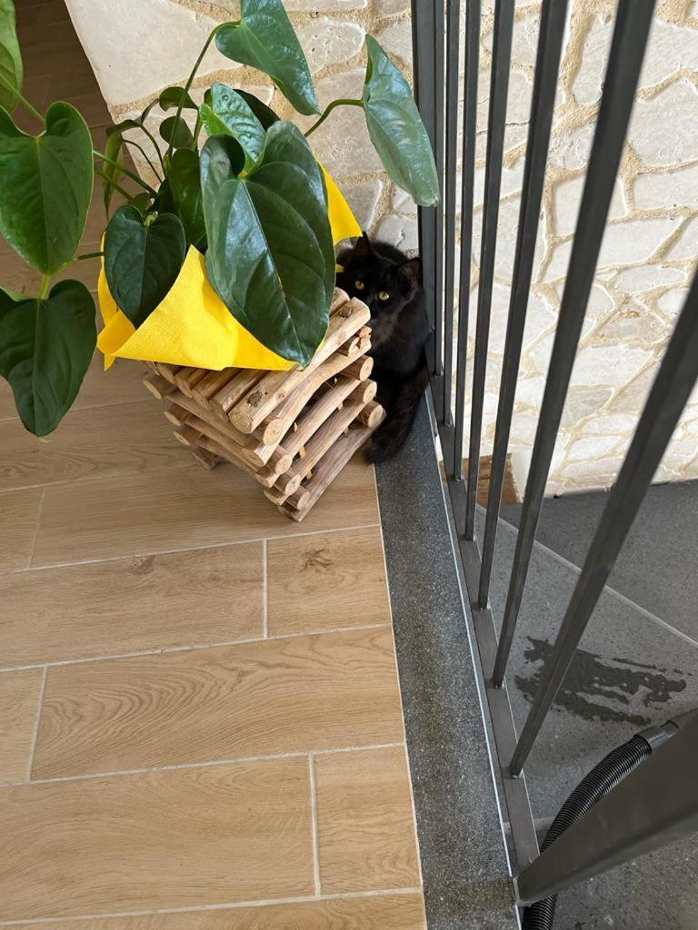 La Pomelia B&B Sofia トラッピテッロ エクステリア 写真