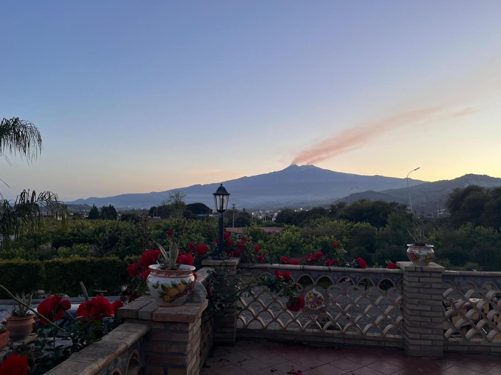 La Pomelia B&B Sofia トラッピテッロ エクステリア 写真